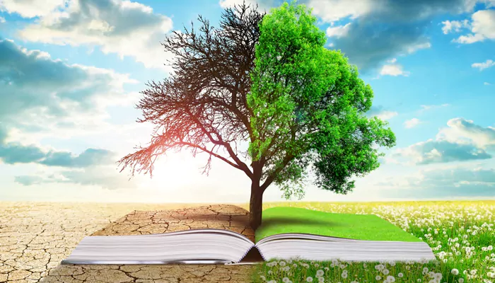 Exploring Climate Change Through Fiction: Must-Read Books for Environmentalists